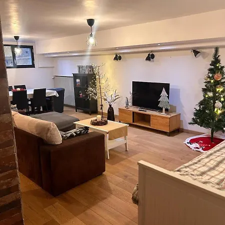 Apartment Loft Proche Centre Straßburg