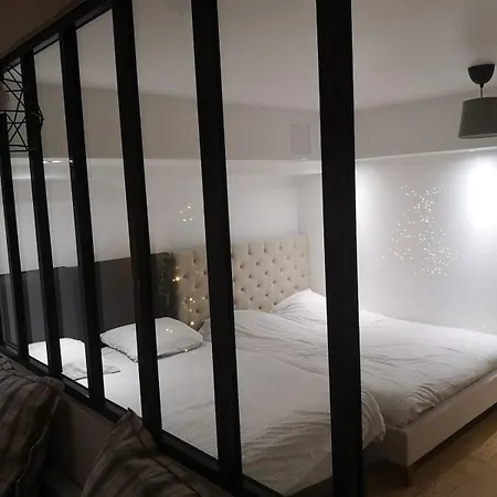Apartment Loft Proche Centre Straßburg